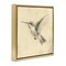 Stupell Industries Vintage Hummingbird Sketch Floating Frame, design by Petal Prints Design